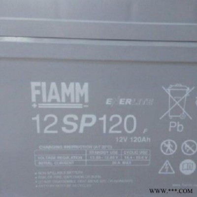 12SP70FIAMM非凡蓄電池12V70AH鉛酸免維護(hù)儲(chǔ)能應(yīng)急電源