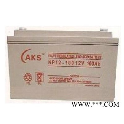 AKS/奧克松12V120AH蓄電池NP12-120鉛酸蓄電池 太陽能蓄電池 電瓶