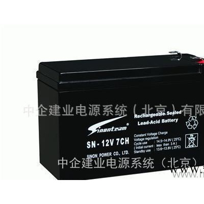 賽能蓄電池原裝12V-65AH-賽能蓄電池