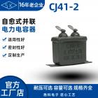 電力電容器(CJ41)