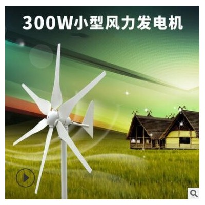 廠家批發300W風力發電機風光互補路燈監控12V用風機家用風電設備