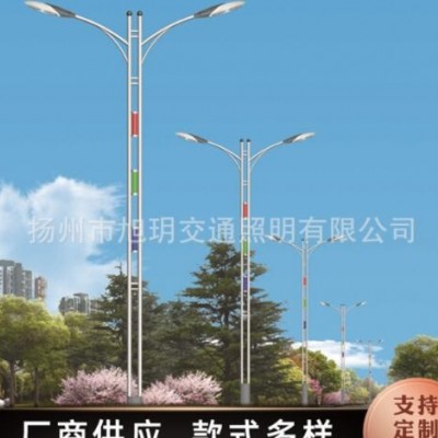 定制戶外LED雙臂路燈桿 新農村道路照明室外照明燈具批發定制