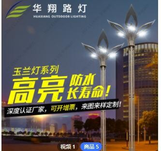 華翔廠家定制10米中華玉蘭燈路燈 市政工程建設戶外廣場LED景觀燈